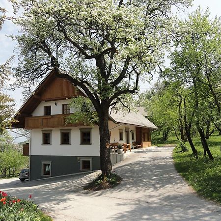 Farm Stay Dolinar Krainer بوهينيسكا بيلا المظهر الخارجي الصورة