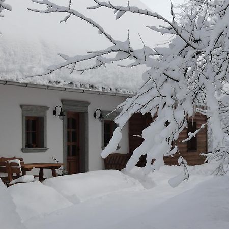 Farm Stay Dolinar Krainer بوهينيسكا بيلا المظهر الخارجي الصورة