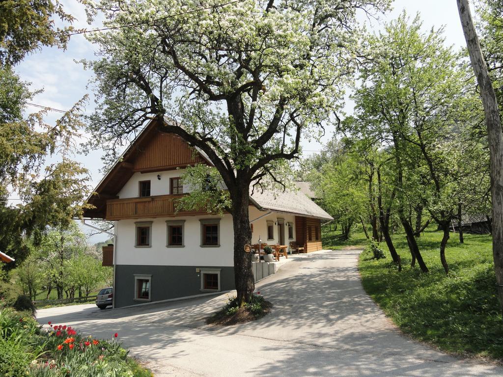 Farm Stay Dolinar Krainer بوهينيسكا بيلا المظهر الخارجي الصورة
