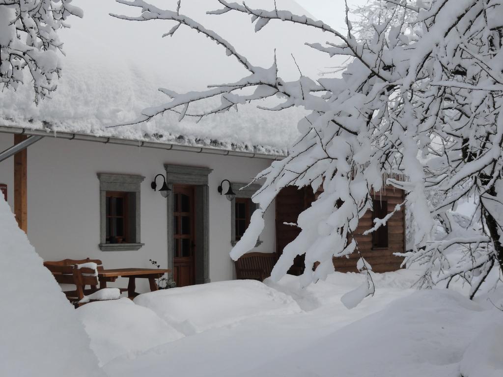 Farm Stay Dolinar Krainer بوهينيسكا بيلا المظهر الخارجي الصورة